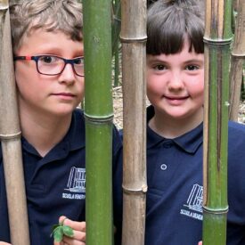 WhatsApp Image 2026-01-16 at 16.31.26