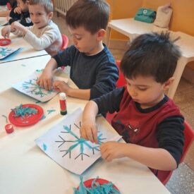 WhatsApp Image 2026-01-17 at 10.53.50 (1)