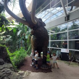 WhatsApp Image 2026-01-17 at 10.59.08 (1)