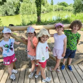 WhatsApp Image 2026-01-17 at 10.59.08