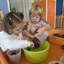 WhatsApp Image 2026-01-17 at 11.02.25 (2)