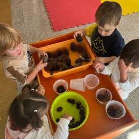 WhatsApp Image 2026-01-17 at 11.02.25