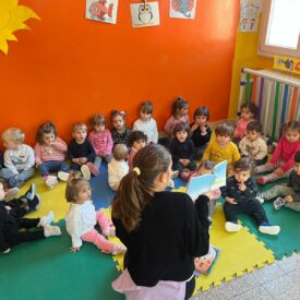 WhatsApp Image 2026-01-17 at 11.02.25 (4)