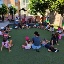 WhatsApp Image 2026-01-17 at 12.50.46 WhatsApp Image 2026-01-17 at 12.50.46