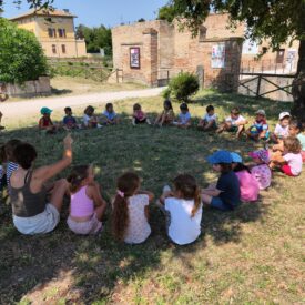 WhatsApp Image 2026-01-17 at 12.50.46 (3) WhatsApp Image 2026-01-17 at 12.50.46 (3)