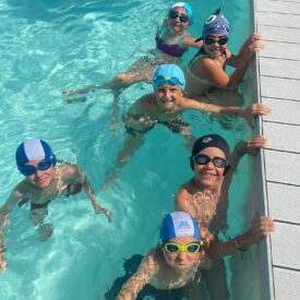 WhatsApp Image 2026-01-17 at 12.54.09 WhatsApp Image 2026-01-17 at 12.54.09