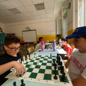 WhatsApp Image 2026-01-17 at 12.54.10 (3) WhatsApp Image 2026-01-17 at 12.54.10 (3)