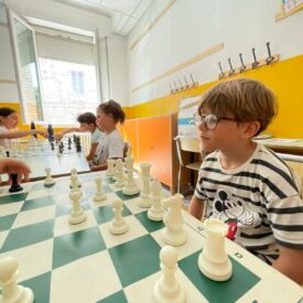 WhatsApp Image 2026-01-17 at 12.54.10 (4) WhatsApp Image 2026-01-17 at 12.54.10 (4)