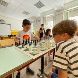 WhatsApp Image 2026-01-17 at 12.54.10 (5) WhatsApp Image 2026-01-17 at 12.54.10 (5)