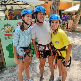 WhatsApp Image 2026-01-17 at 12.54.11 (2) WhatsApp Image 2026-01-17 at 12.54.11 (2)