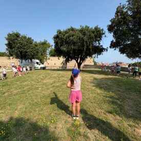 WhatsApp Image 2026-01-17 at 12.54.11 WhatsApp Image 2026-01-17 at 12.54.11