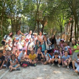 WhatsApp Image 2026-01-17 at 12.54.11 (3) WhatsApp Image 2026-01-17 at 12.54.11 (3)