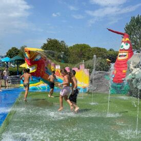 WhatsApp Image 2026-01-17 at 12.54.12 (1) WhatsApp Image 2026-01-17 at 12.54.12 (1)