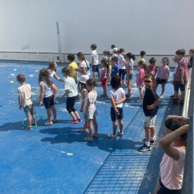 WhatsApp Image 2026-01-17 at 12.54.12 (6) WhatsApp Image 2026-01-17 at 12.54.12 (6)