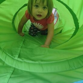 WhatsApp Image 2026-01-17 at 12.56.01 (2) WhatsApp Image 2026-01-17 at 12.56.01 (2)