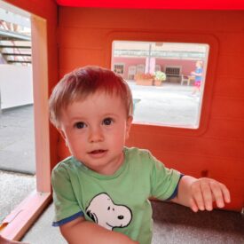 WhatsApp Image 2026-01-17 at 12.56.01 WhatsApp Image 2026-01-17 at 12.56.01